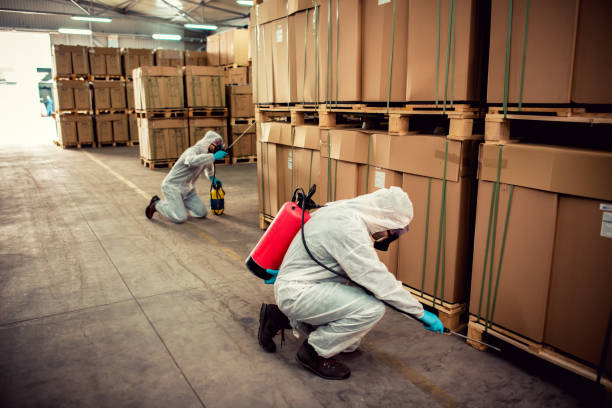Best Exterminator Services  in Oakleaf Plantation, FL