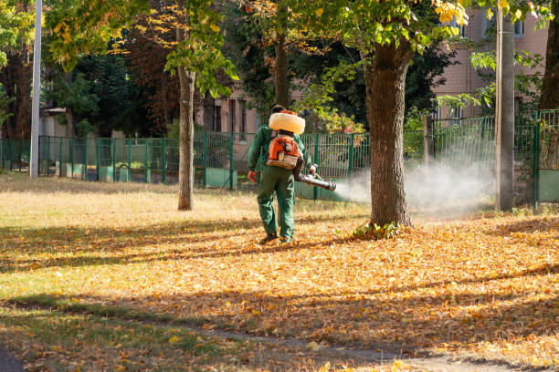 Flea Control Services in Oakleaf Plantation, FL